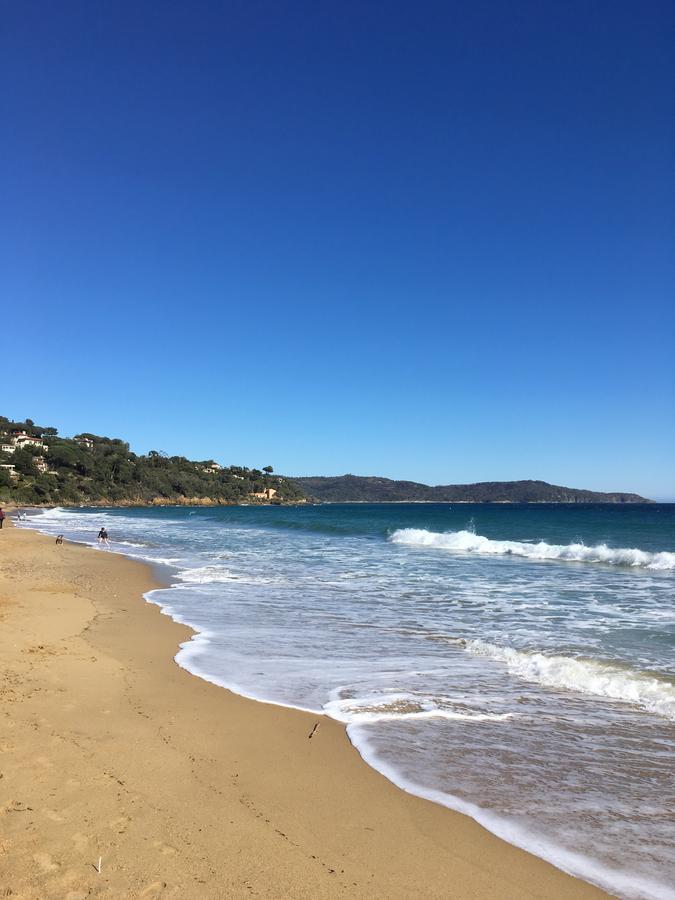 Appartement Face A La Mer 拉克鲁瓦瓦尔梅 外观 照片